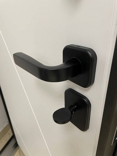 Входная дверь  